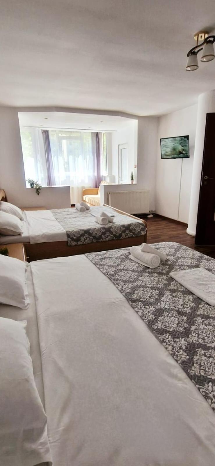 Stefania Apartment-camere private Braszów Zewnętrze zdjęcie