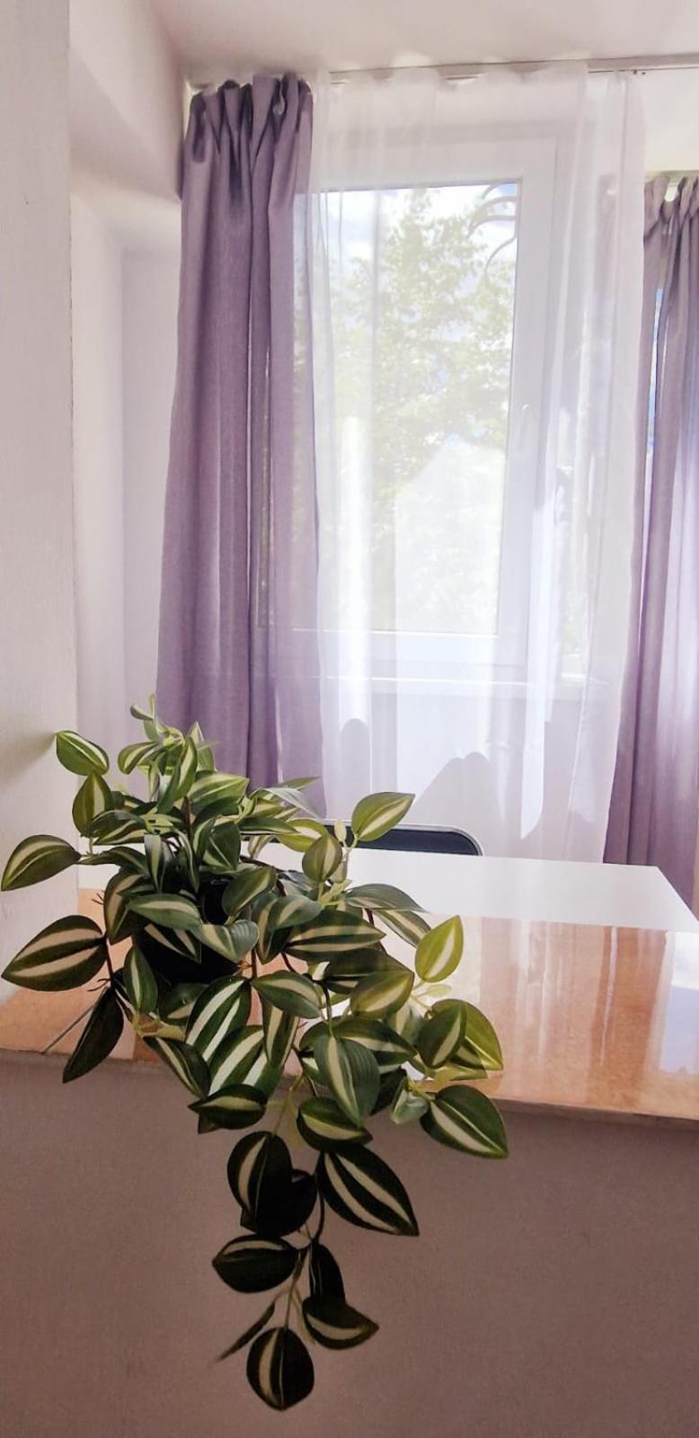 Stefania Apartment-camere private Braszów Zewnętrze zdjęcie