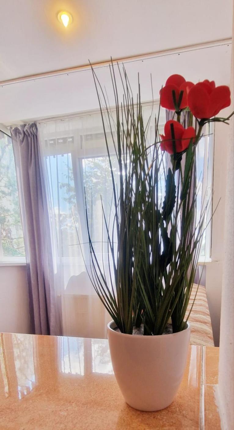 Stefania Apartment-camere private Braszów Zewnętrze zdjęcie