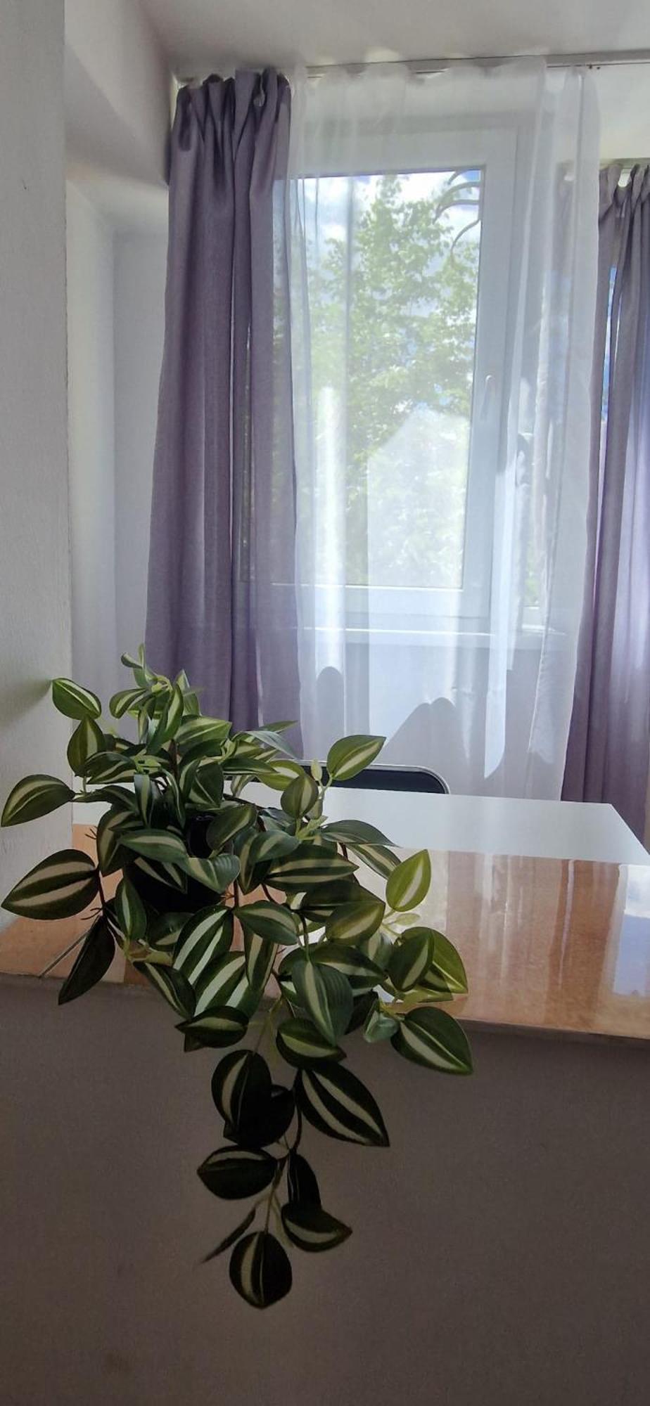 Stefania Apartment-camere private Braszów Zewnętrze zdjęcie