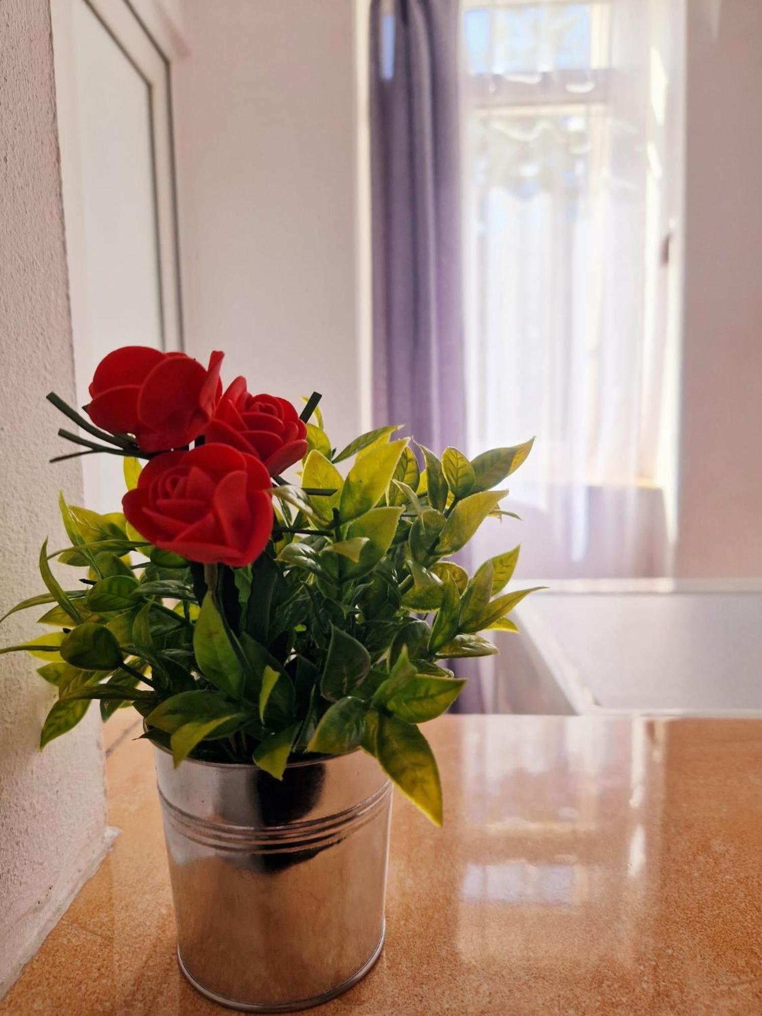 Stefania Apartment-camere private Braszów Zewnętrze zdjęcie