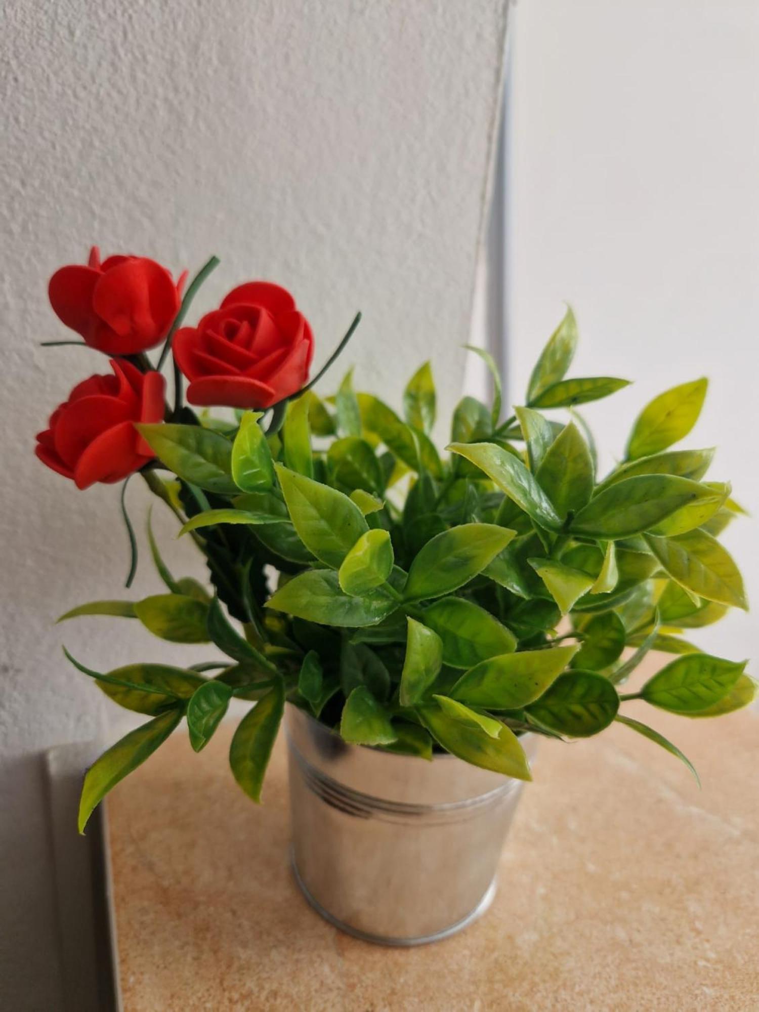 Stefania Apartment-camere private Braszów Zewnętrze zdjęcie
