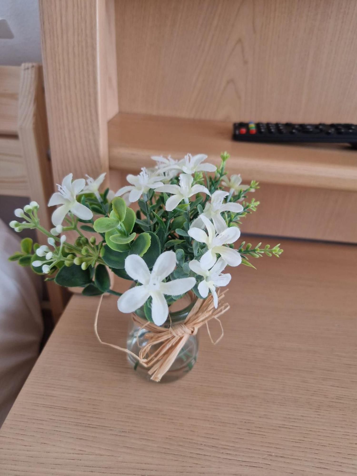 Stefania Apartment-camere private Braszów Zewnętrze zdjęcie
